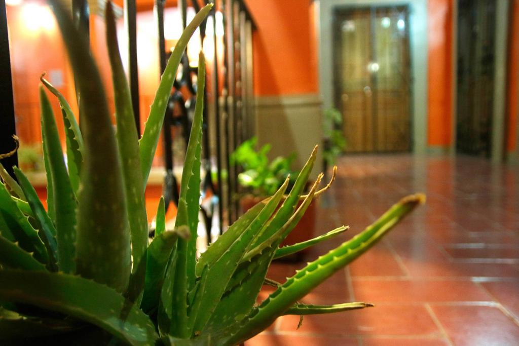 Parador San Fernando Oaxaca Luaran gambar